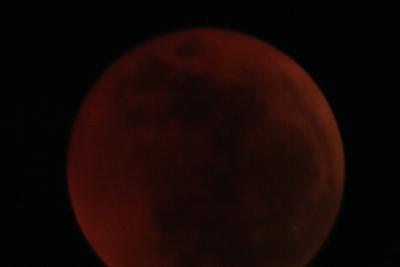 img_8246.jpg